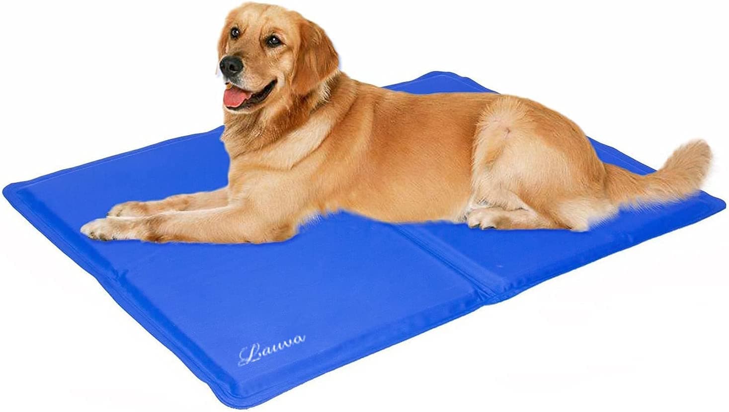 6140gBmXjXS._AC_SL1475_