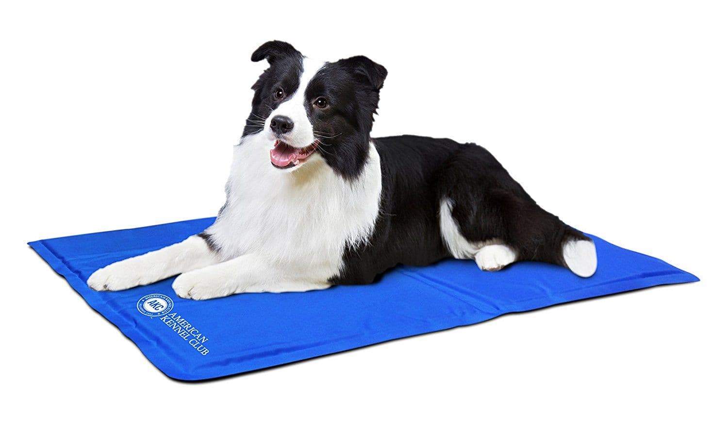 ac590dc05bc5e08b3ba5263f4ce4dc3e